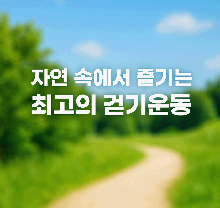 노르딕워킹(Nordic Walking): 전신운동으로 건강을 지키는 최고의 걷기 운동