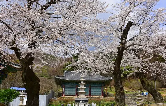 공주-석장리