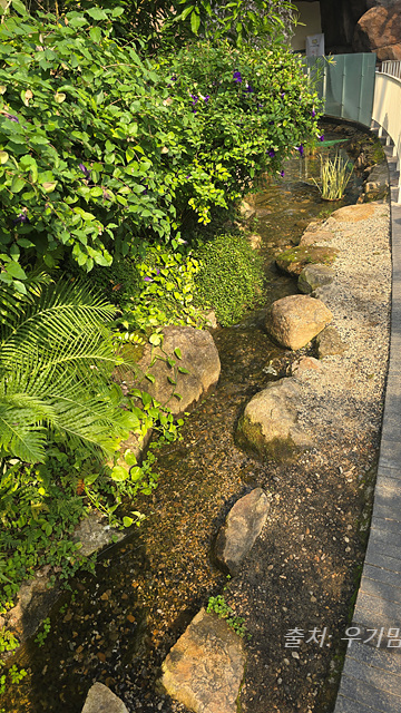 24년 순천만 국가정원 식물원 동문 순천여행