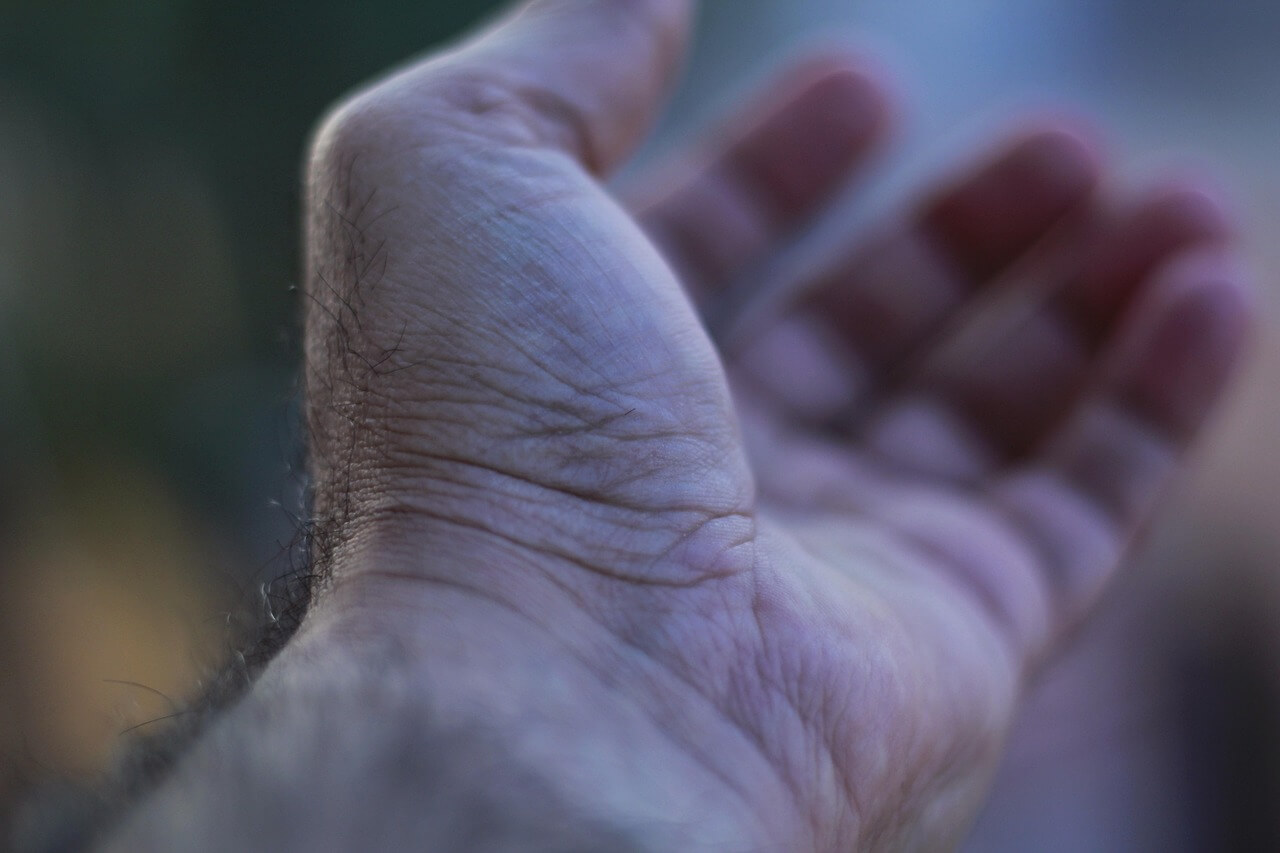 손목 관련 사진