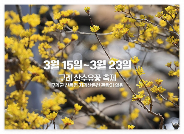 구례산수유축제