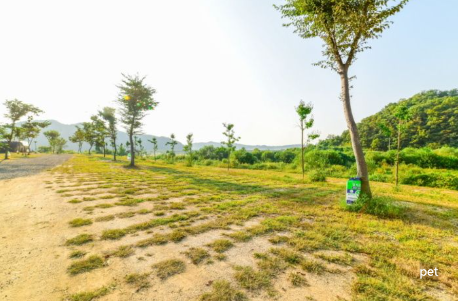 경기-연천-물꽃캠핑장-예약-방법-애견-동반-가격-주소-시간-후기