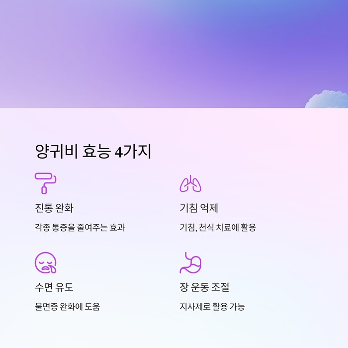양귀비 효능과 부작용&amp;#44; 섭취 전 꼭 알아야 할 5가지 요약 이미지