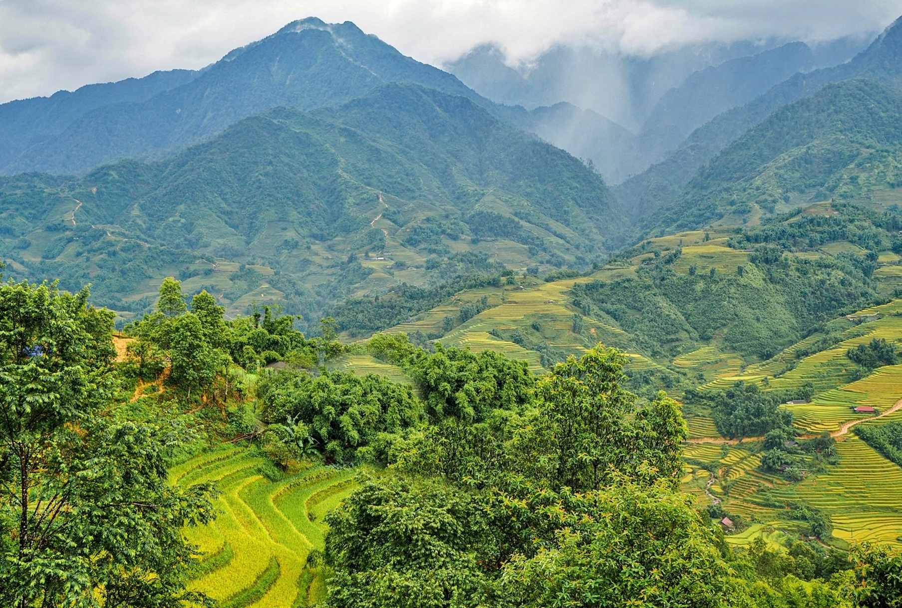 기후 재난 시대&amp;#44; 개인은 무엇을 준비해야 하는가!