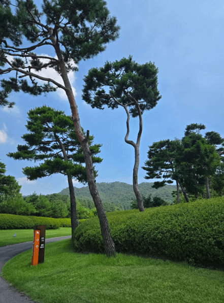 레이크우드CC코스전경