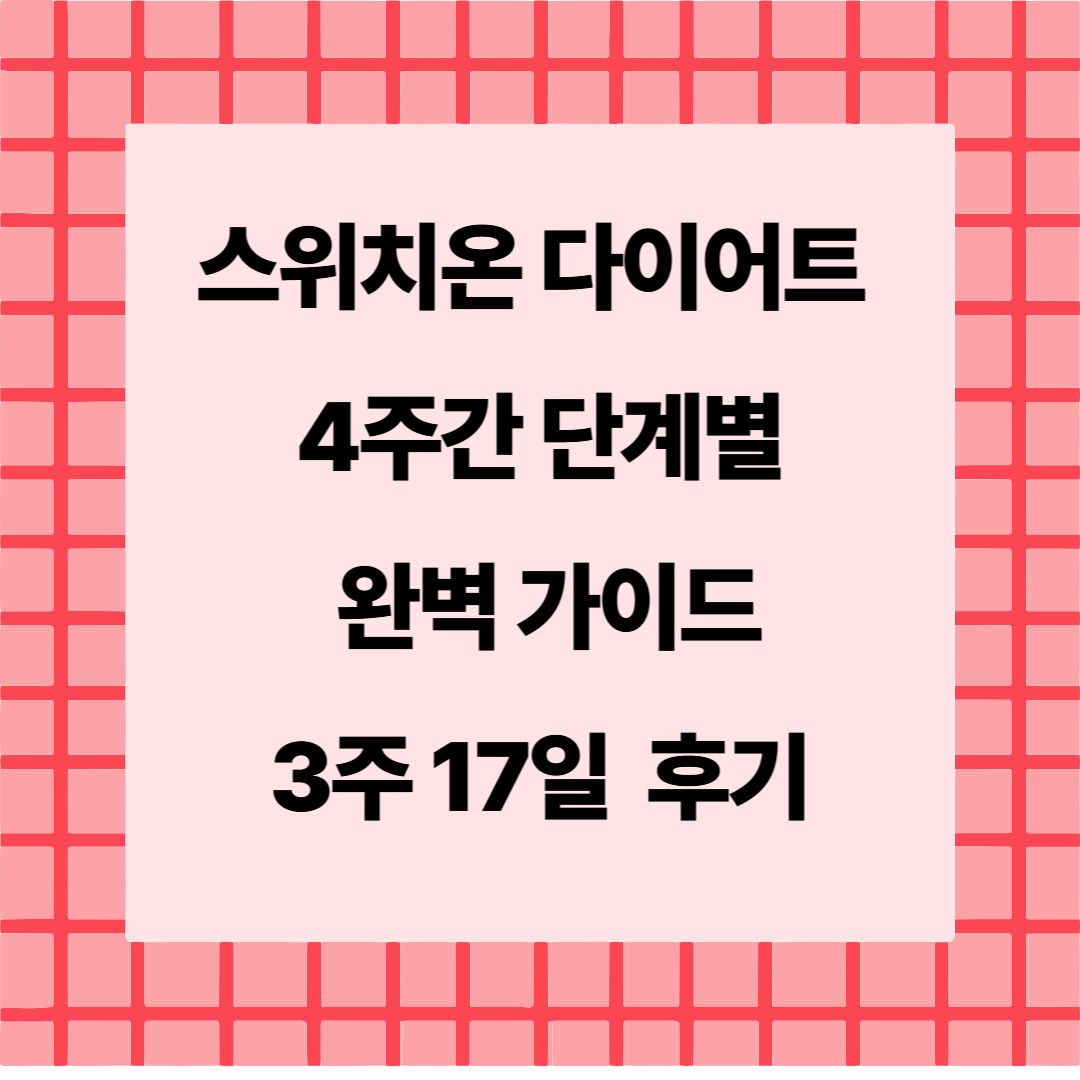 스위치온 다이어트 4주 솔루션 총정리! 17일차 후기