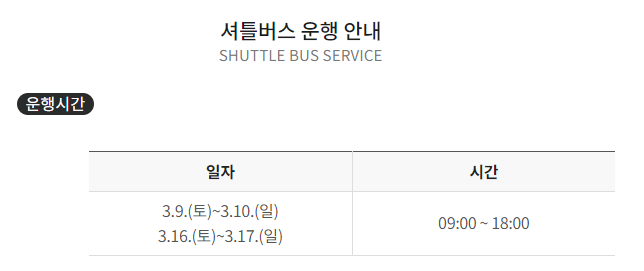 구례 산수유 축제 기간 개화 정보
