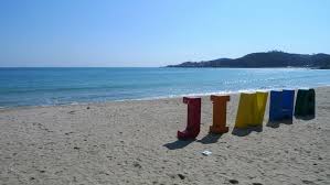 울산 가볼만한 곳 진하 해수욕장