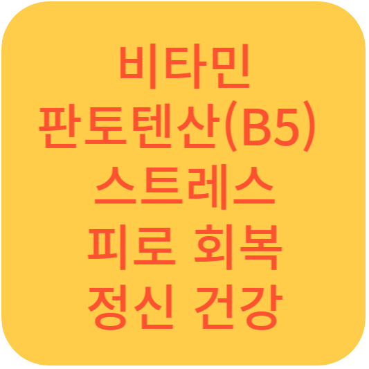 비타민 판토텐산(B5)과 스트레스 피로 회복과 정신 건강을 위한 비타민