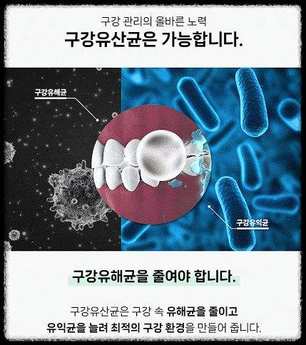 덴티오클린 복용법 &ndash; 언제&amp;#44; 어떻게 먹어야 효과 있을까?