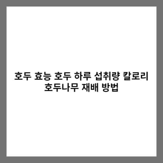 호두 효능 호두 하루 섭취량 칼로리 호두나무 재배 방법