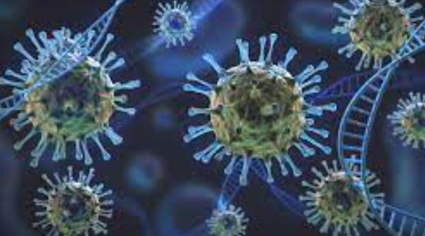 오미크론_변이바이러스