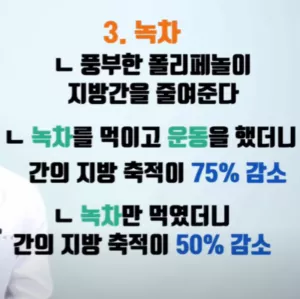 지방간에-좋은-녹차-성분-설명-텍스트