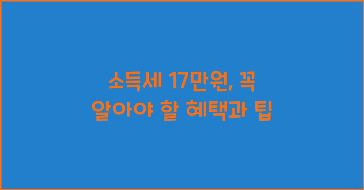 소득세 17만원