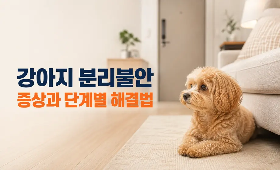 강아지 분리불안 증상과 단계별 해결법을 안내하는 대표 이미지