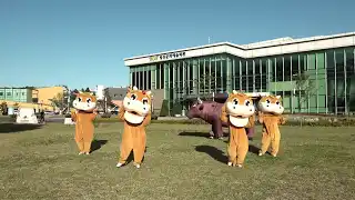횡성한우댄스