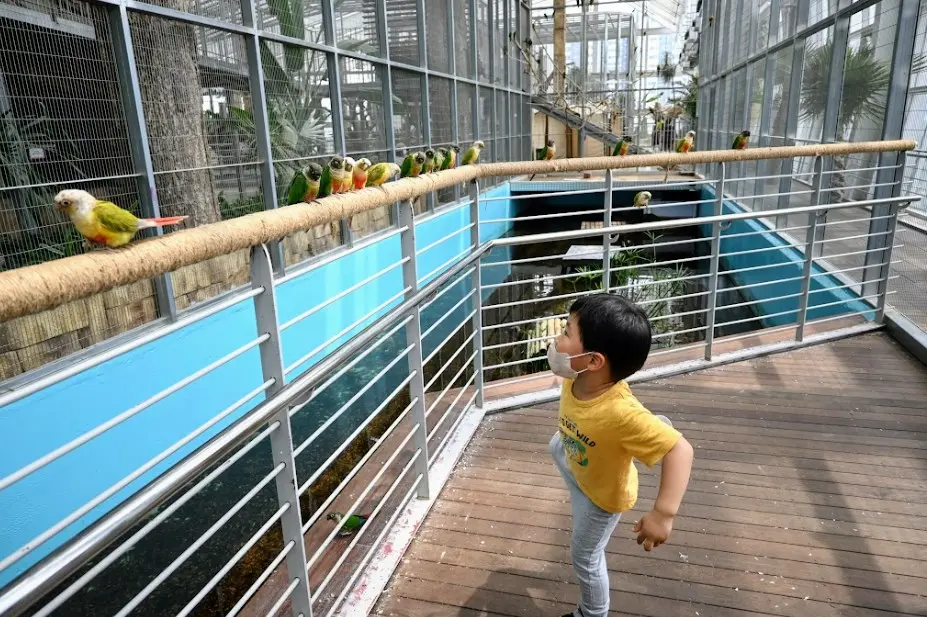 오산 버드파크 후기 사진25