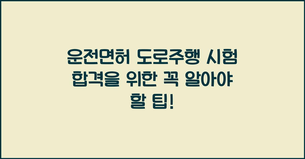 운전면허 도로주행 시험