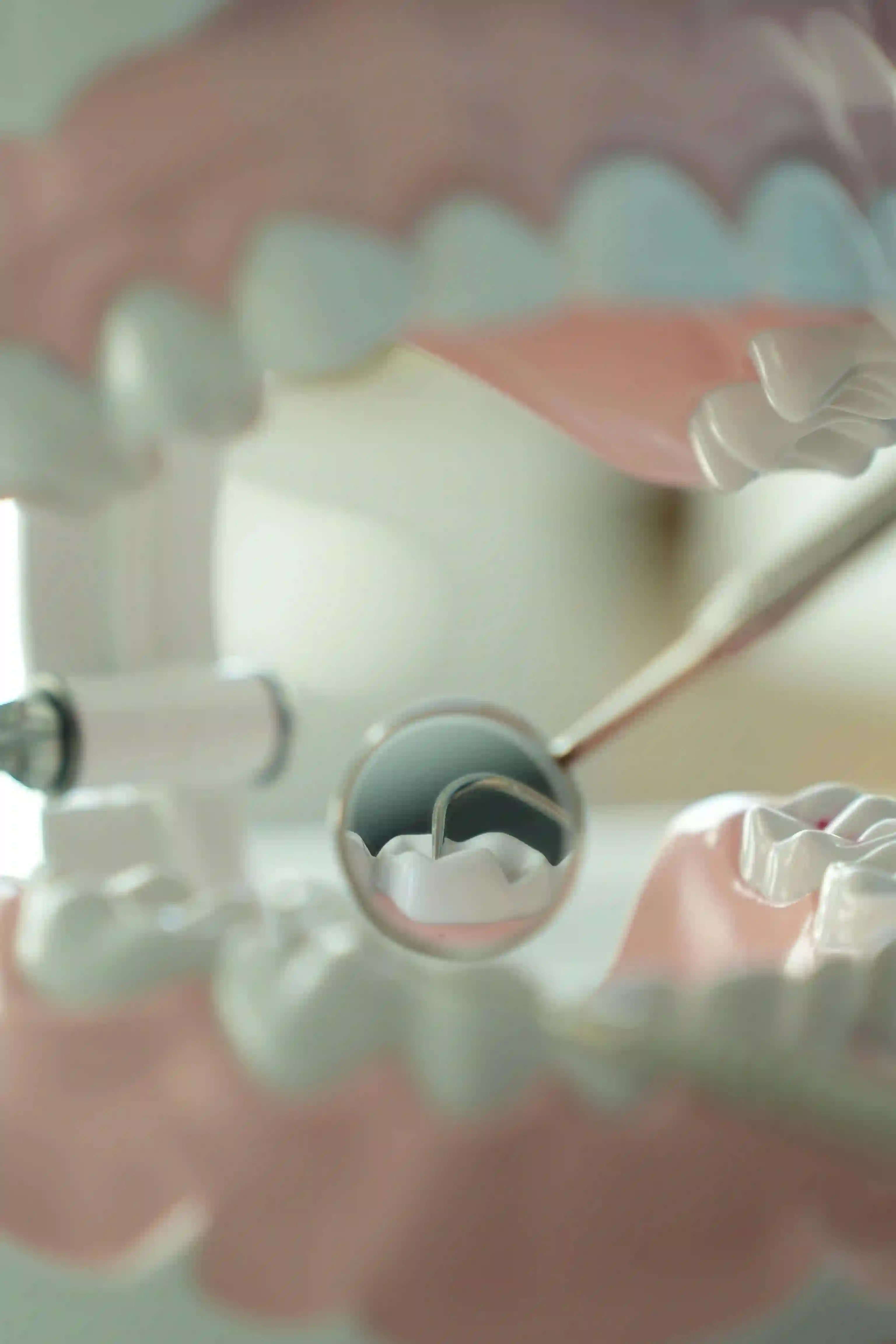 구강유산균|입속 건강을 지키는 작은 비밀