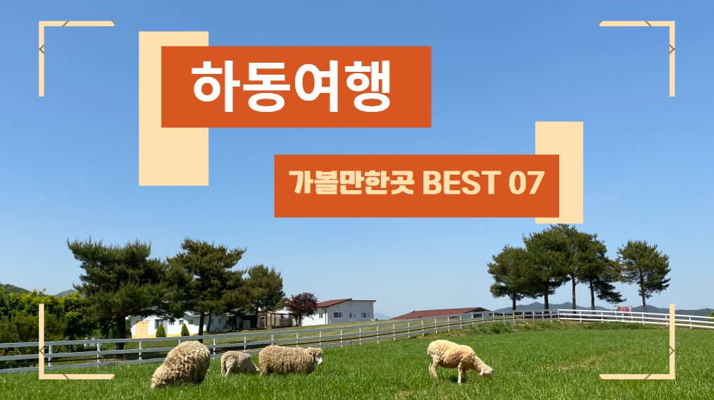 하동여행 가볼만한곳 BEST 07 하동 삼성궁 스카이워크 포함