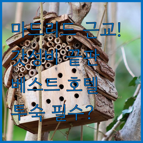 마드리드 알코르콘 모스톨레스 베스트 ..