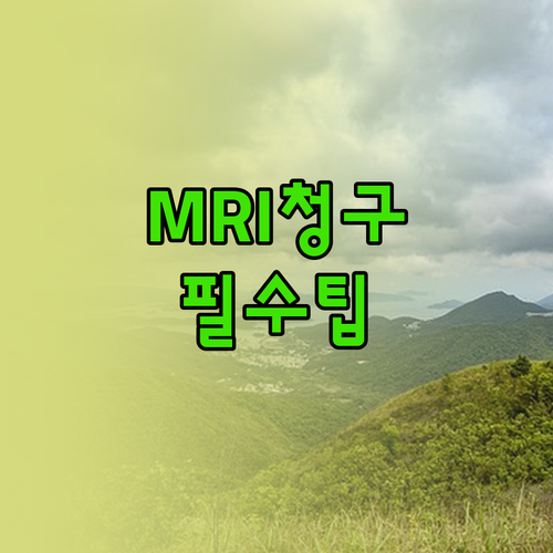 강아지 MRI CT 보험 청구 서류 ..