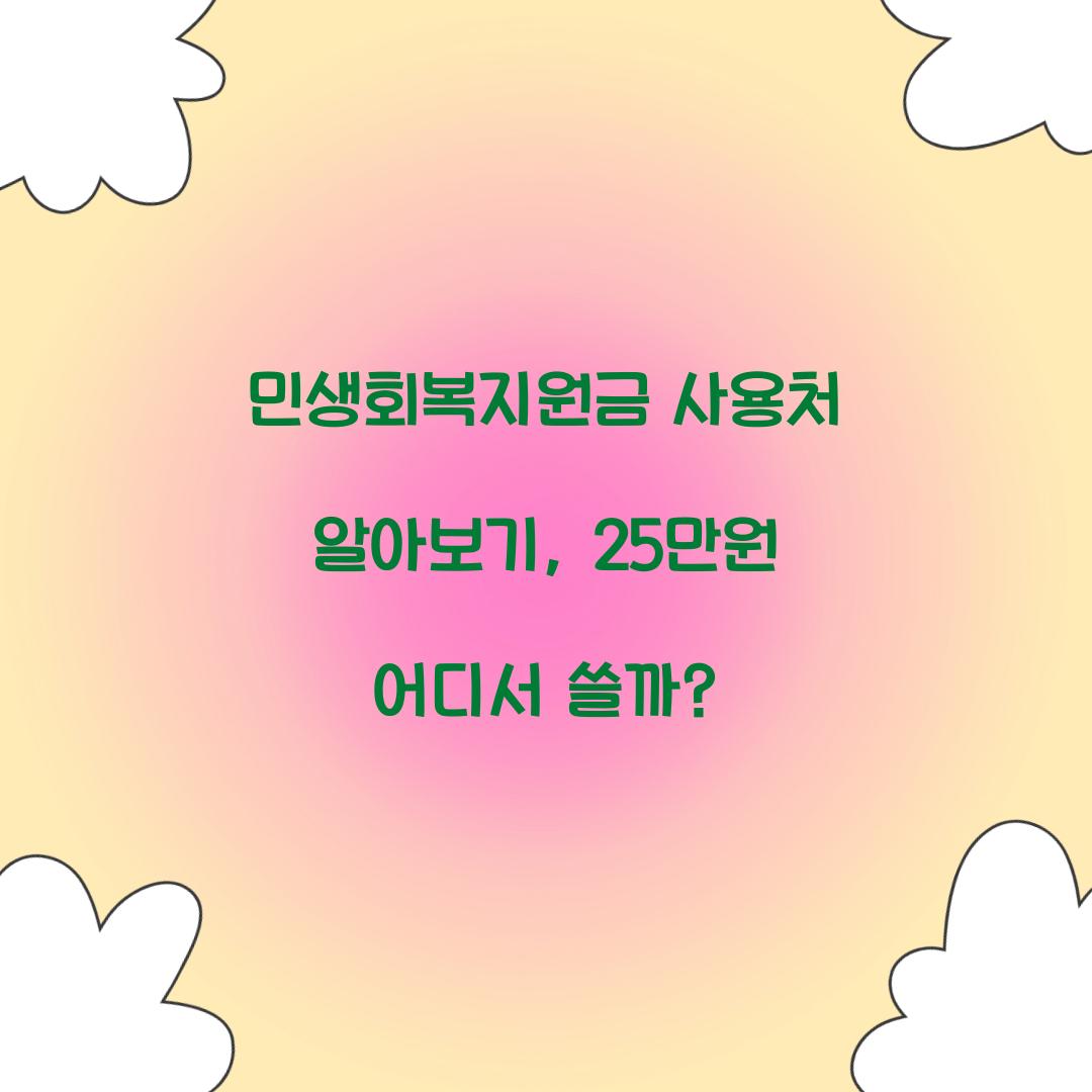 민생회복지원금 사용처