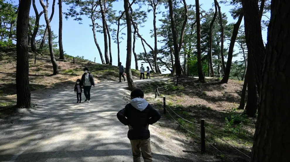 세종대왕릉 경기도 여주 아이들하고 가볼만한 곳 사진23
