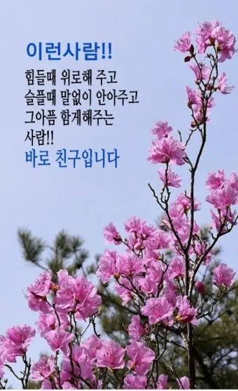 2025년 4월 달력 바탕화면 이미지 모음_15