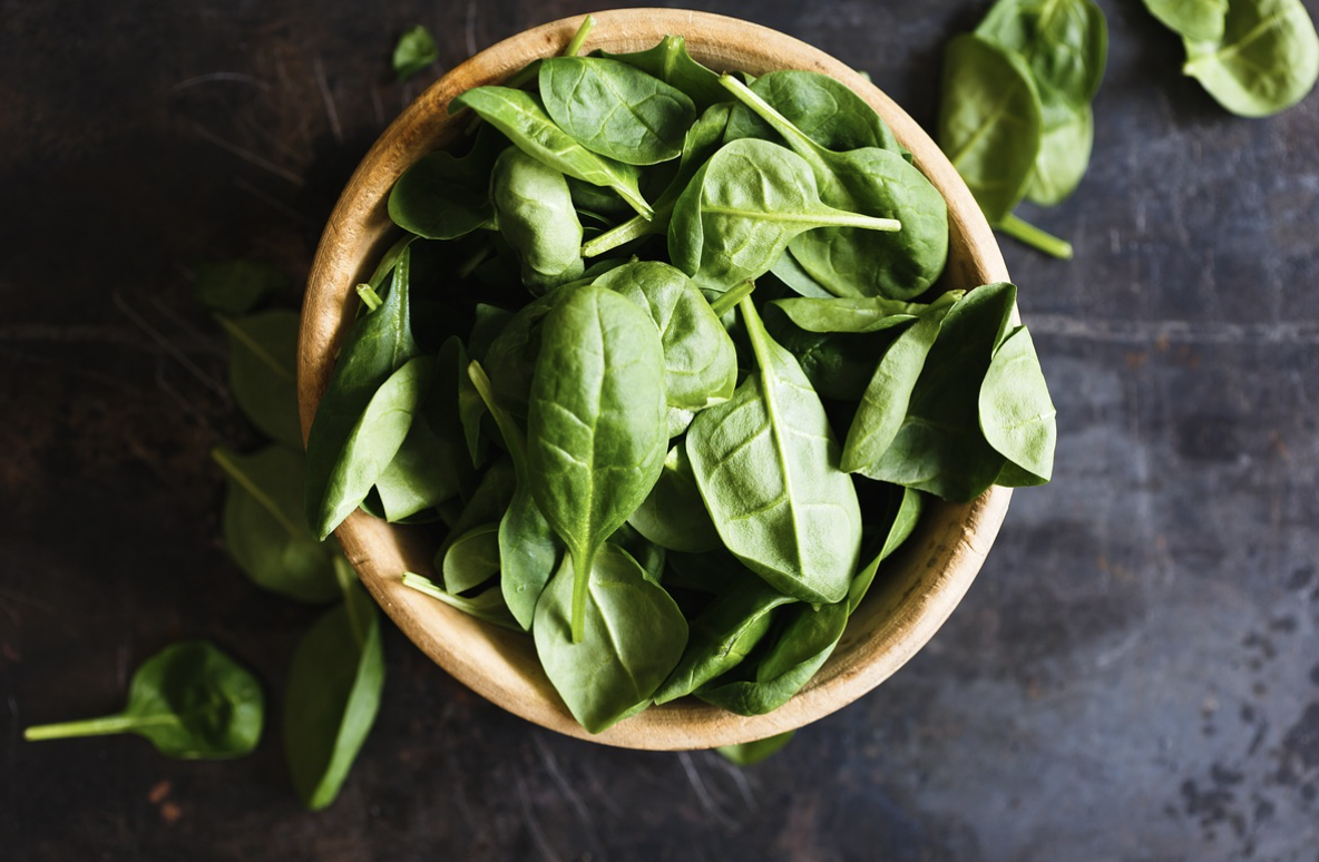 폴리코사놀 효능