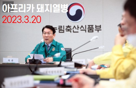 아프리카돼지열병