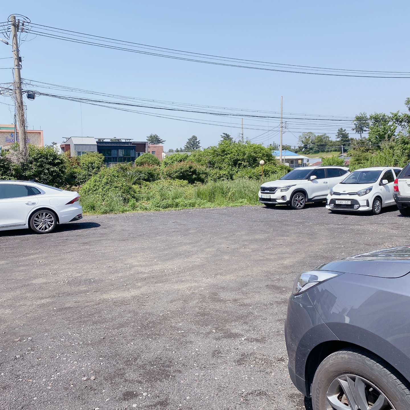 제주 정실마을 민오름 브런치 카페 마트리모니오 matrimonio