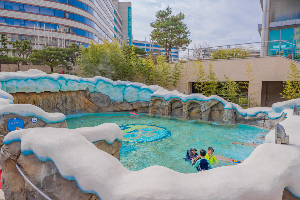 경주 가볼만한 곳 경주뽀로로아쿠아빌리지