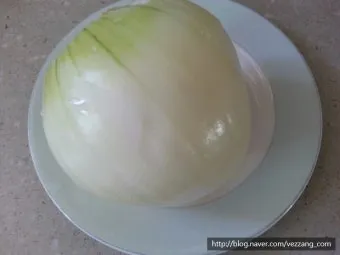 양파 먹는 방법과 양파 효능 양파 부작용 완전 가이드_38