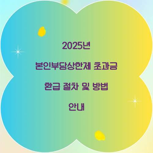 2025년 본인부담상한제 초과금 환급