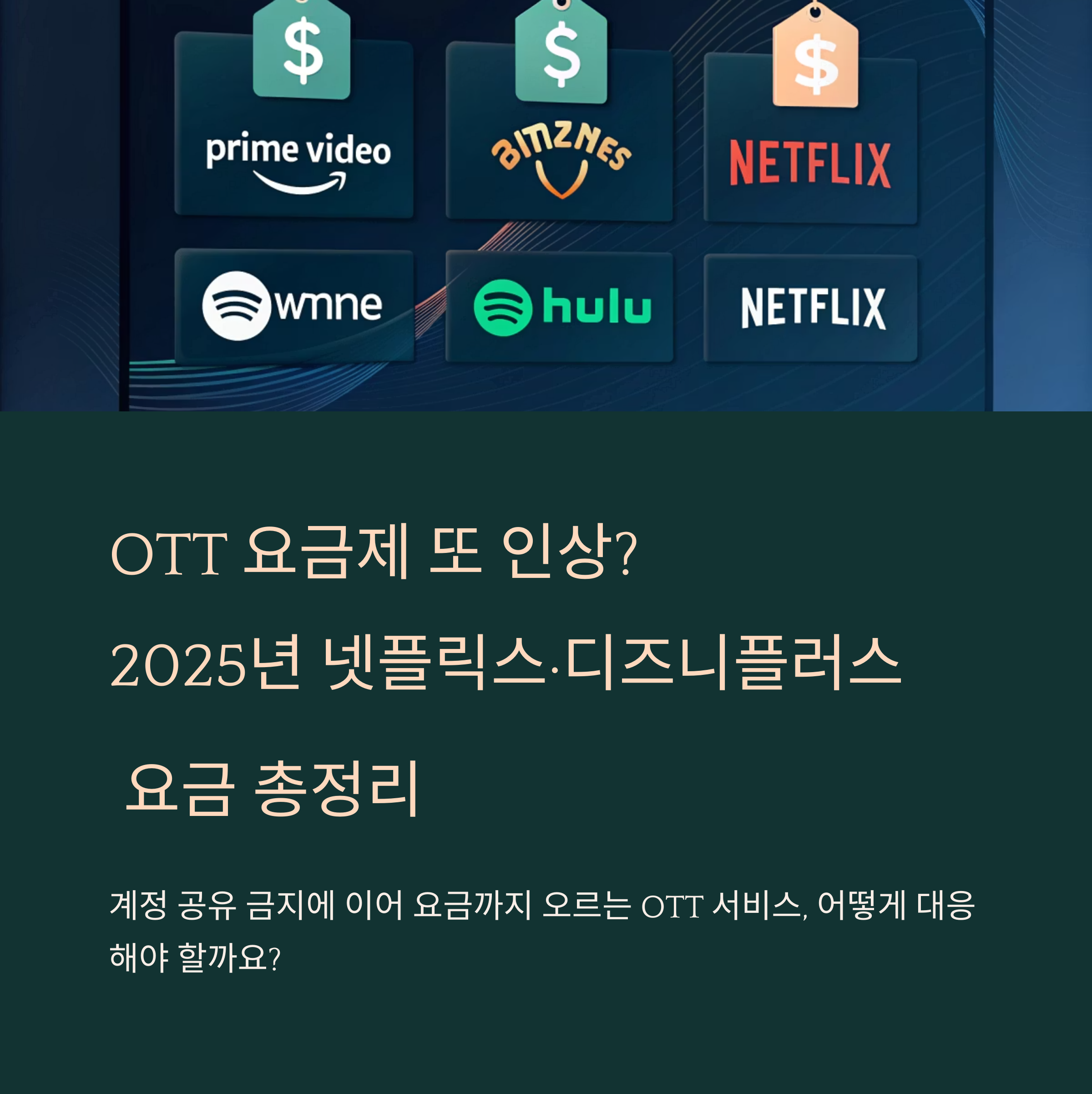 OTT 요금제