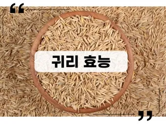 귀리 효능 부작용 밥짓기 먹는법 오트밀 차이_13