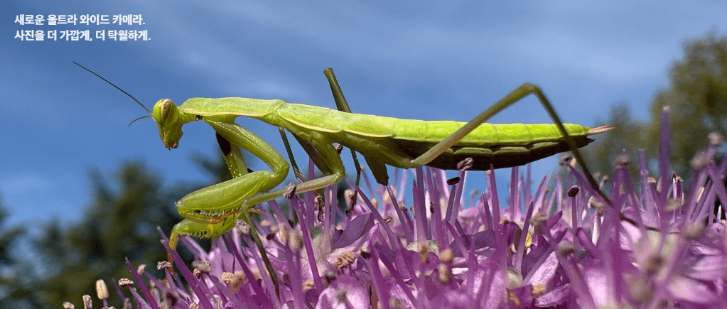 아이폰16 플러스 와이드 카메라 촬영