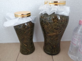 야관문 효능과 부작용 및 술 담그는 법