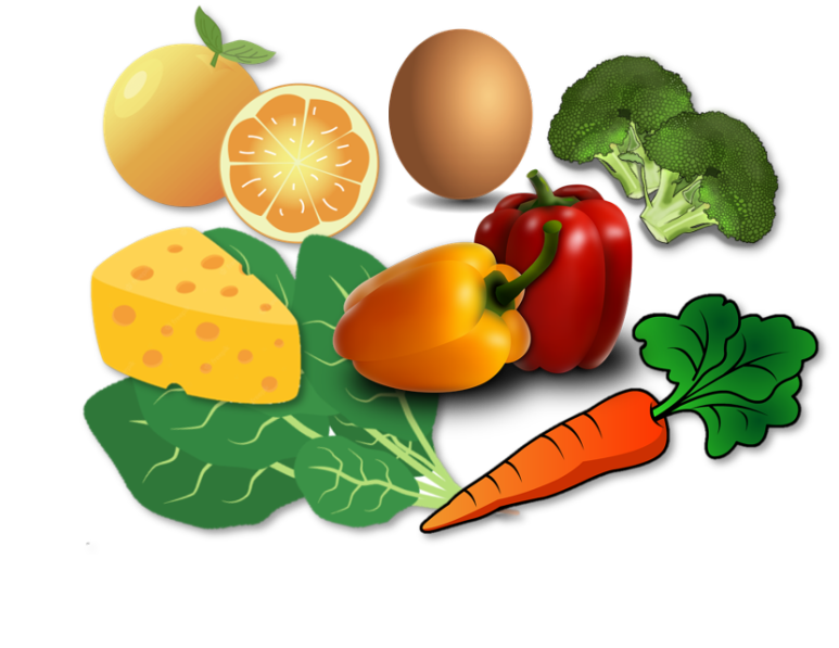 비타민A가 많이 들어 있는 식품