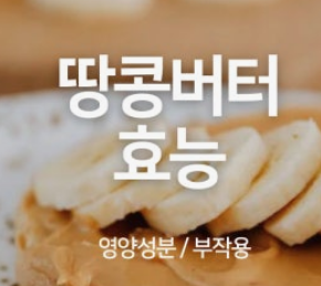 땅콩버터 효능 7가지 정보