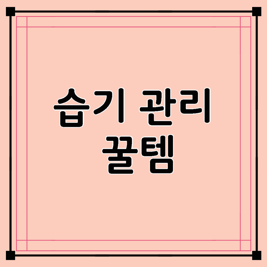 꿉꿉함 끝판왕, 습기 관리 꿀템 추천 ☔