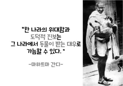 간디 "한 나라의 도덕적 진보는 그나라에서 동물이 받는 대우로 가늠할 수 있다"