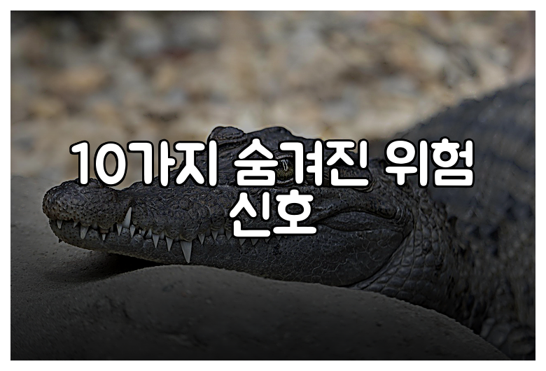 10가지 숨겨진 위험 신호