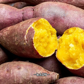 비타민A가 많은 음식