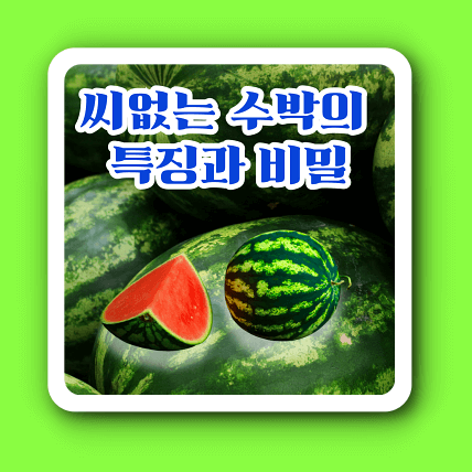씨없는 수박의 특징과 비밀