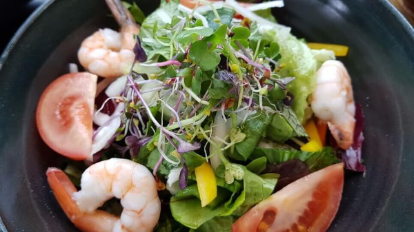 돈카츠 서황 샐러드우동