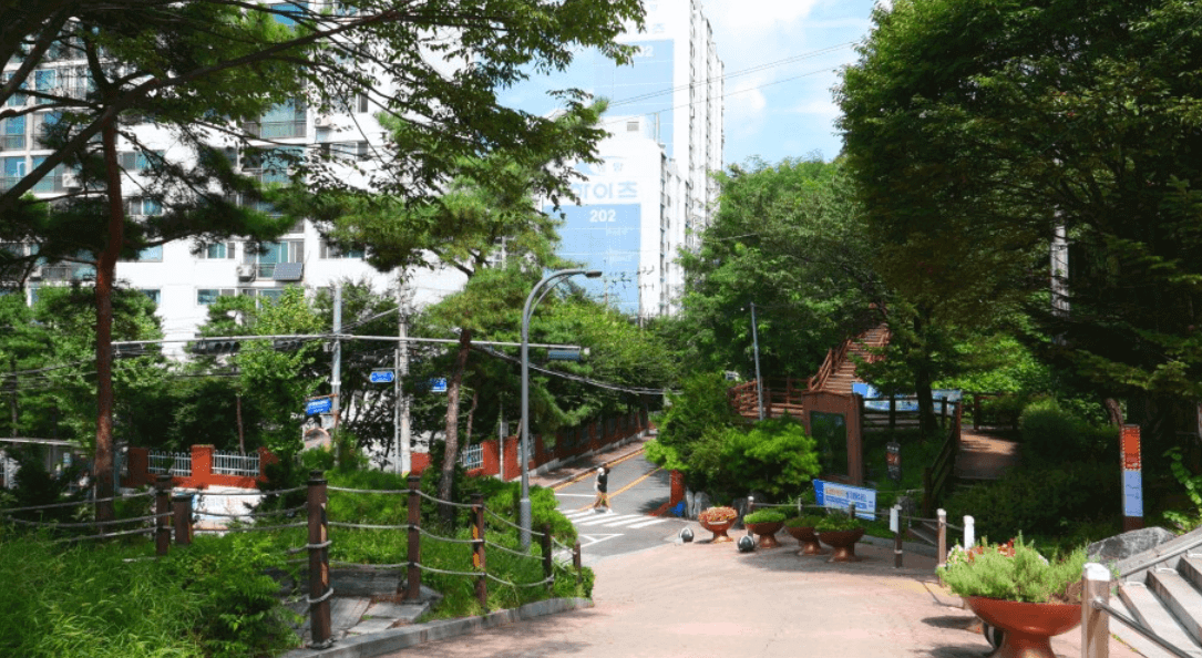 도산공원 주차장 가는 길