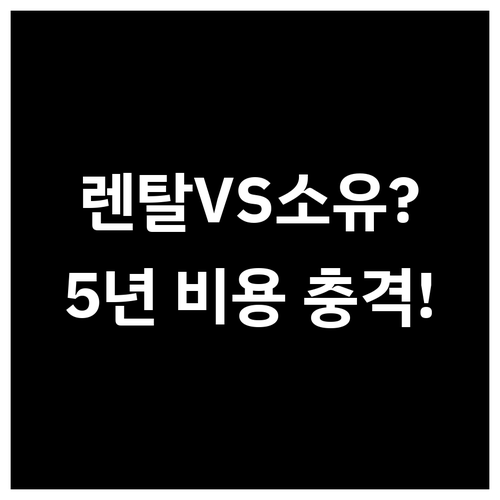 전문 조명 설치 렌탈과 소유 방식 비..