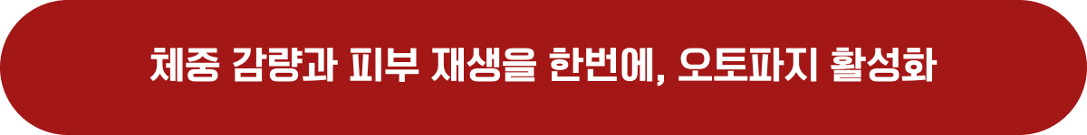 체중 감량과 피부 재생을 한번에, 오토파지 활성화